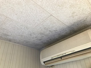 天井に結露が発生してカビシミができていました